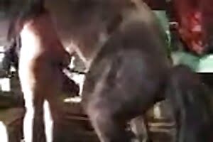 horse porn,animal fucking