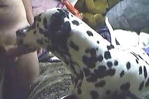 amateur bestiality,oral zoo porn